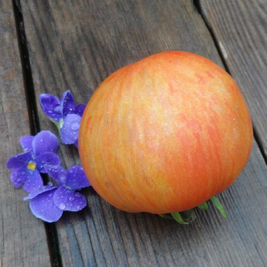 Elberta Peach (Полосатый персик)